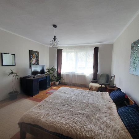 Andrea Apartman Sfântu-Gheorghe Exteriér fotografie